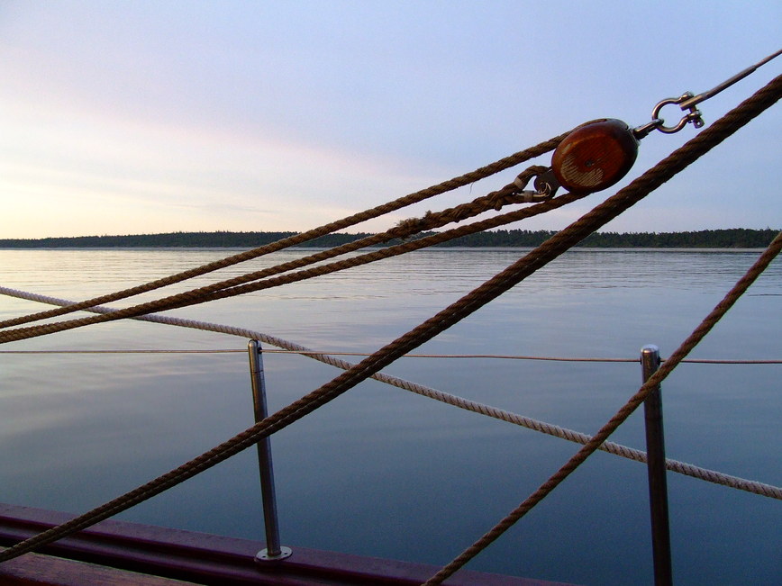 2005_01170250_1.JPG
