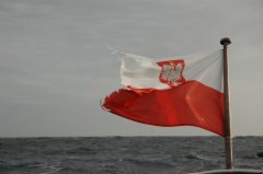 polska bandera