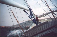 56
